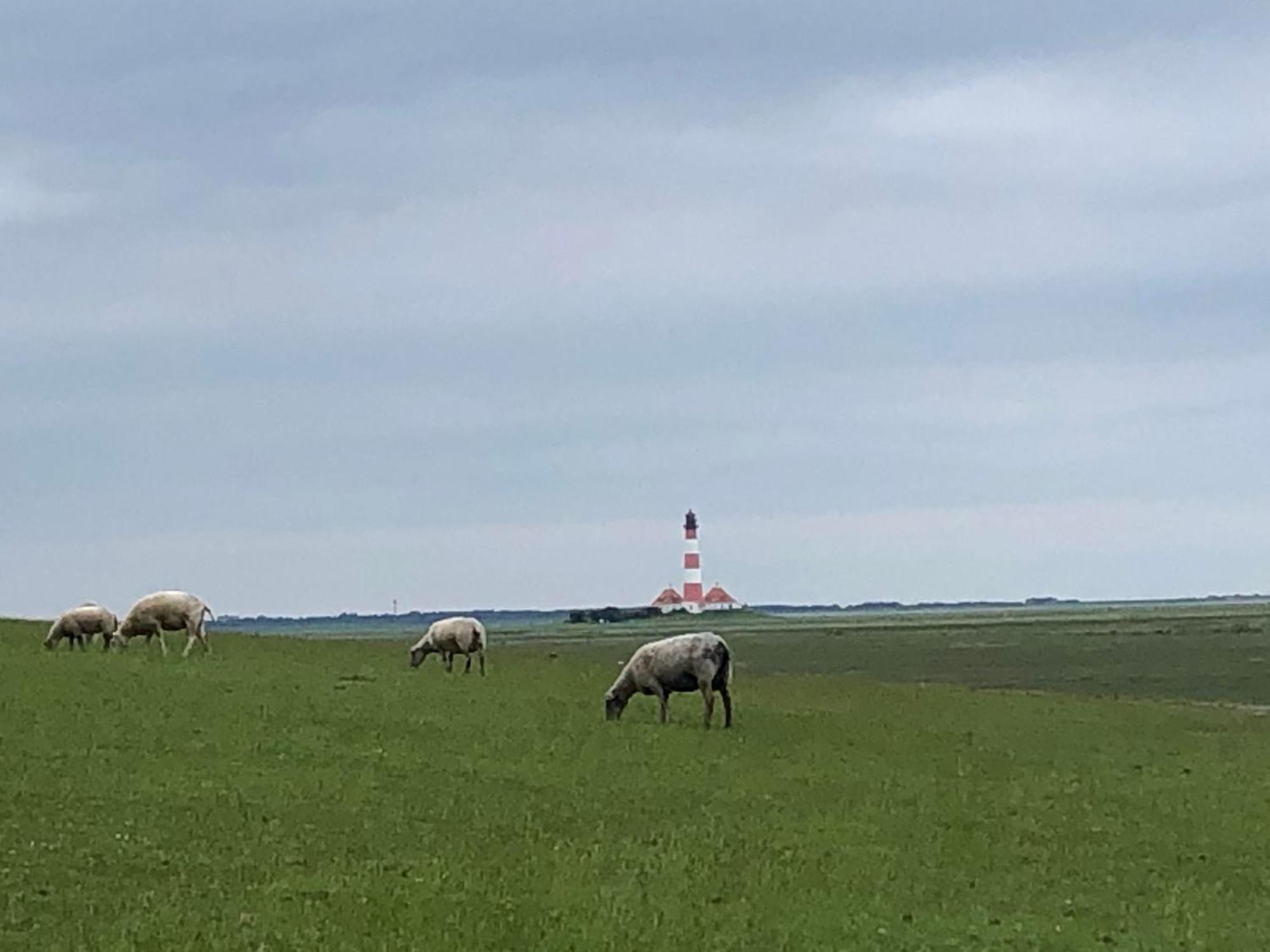 Haubarg Alte Strandvogtei Westerhever Exterior foto
